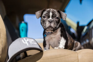 MSH_RosalindaVillegas-TucsonMobileRV-127